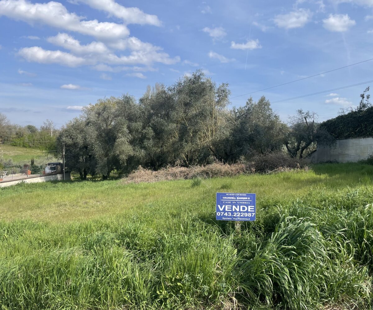 Terreno edificabile a Bettona