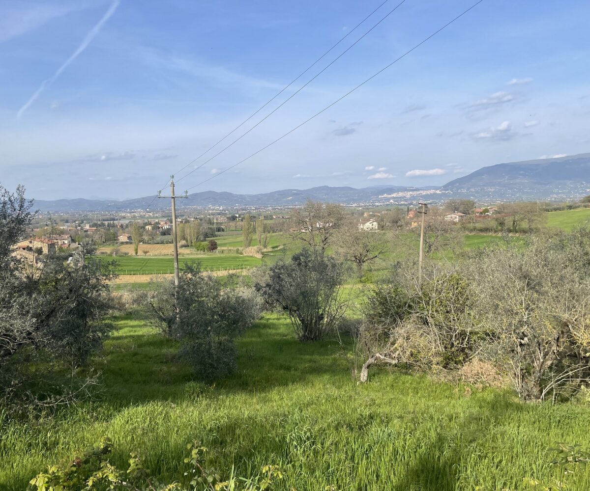 Terreno agricolo a Bettona