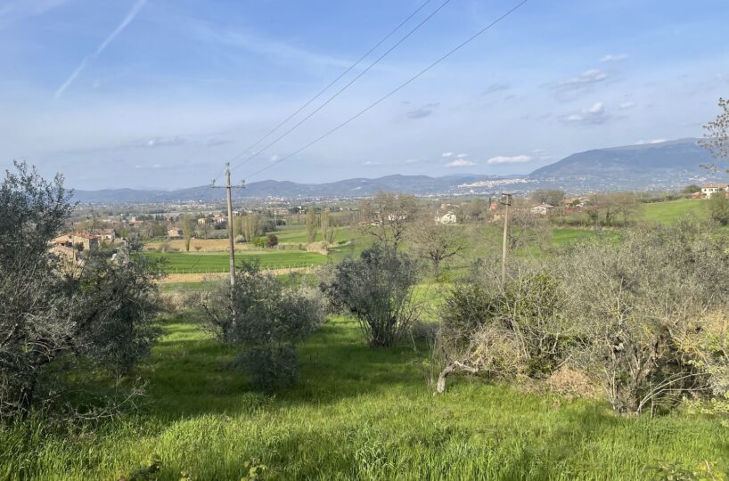 Terreno agricolo a Bettona